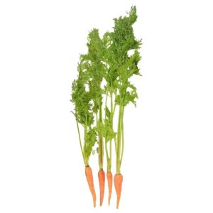 Baby Carrot 250g per pack