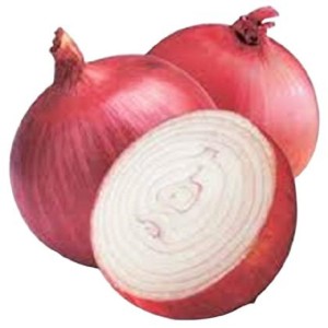 Onion Regular Per kg